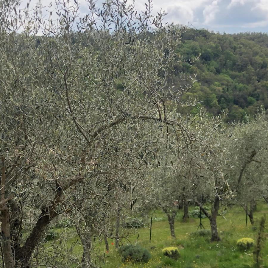La Maison De Campagne Rigomagno Екстериор снимка